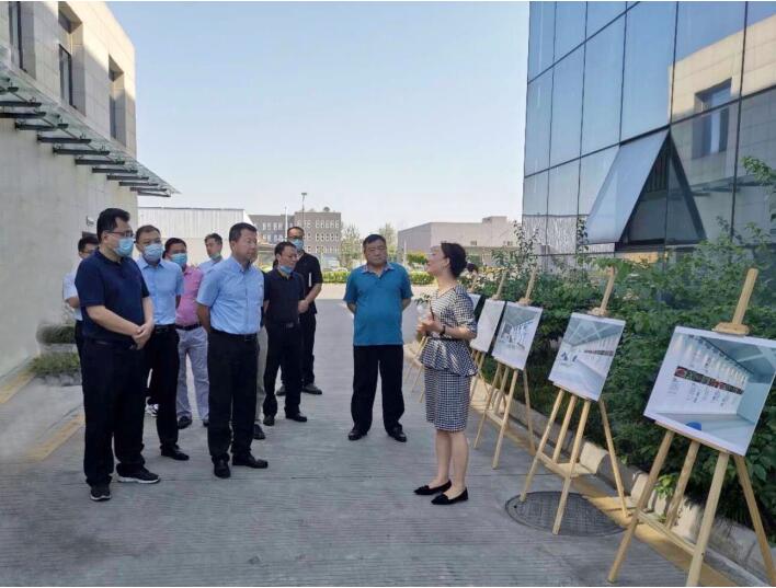 集团辅导赴壹定发商贸督导督察工作