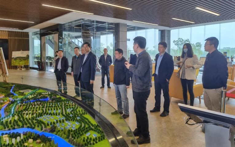 广西旅发集团党委书记、董事长容贤标调查集团文旅项目