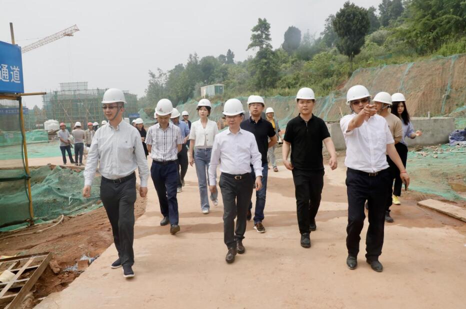 壹定发集团“做大影响力”专责工作组调研聚峰谷项目