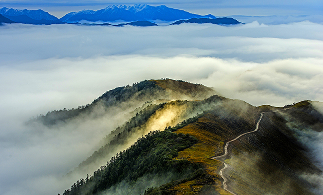 壹定发·(EDF)最新官方网站