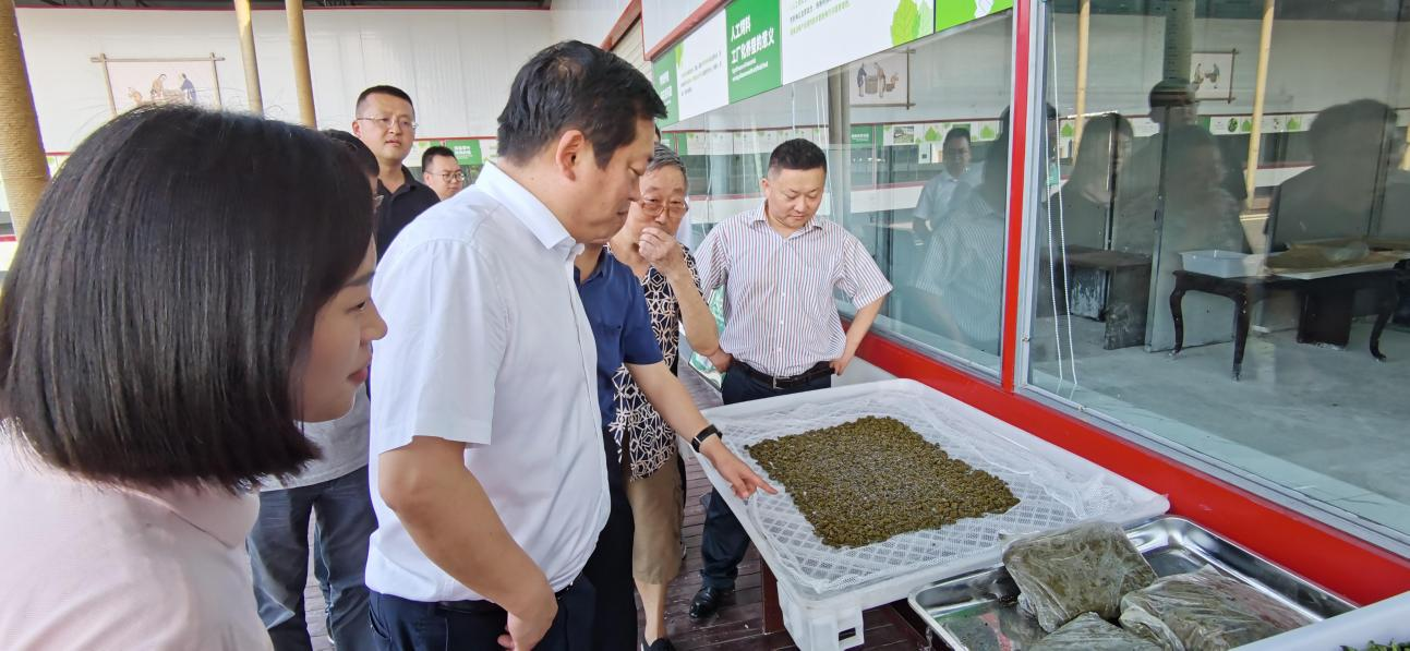 省壹定发集团党委副书记、董事陈日赴嘉陵区调研茶桑产业发展情况