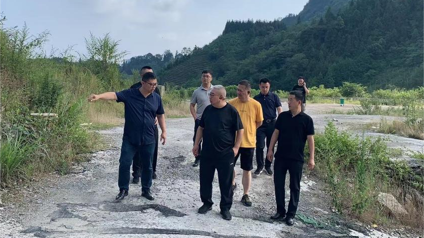 省壹定发集团辅导调研峨眉山太阳村村落振兴项目