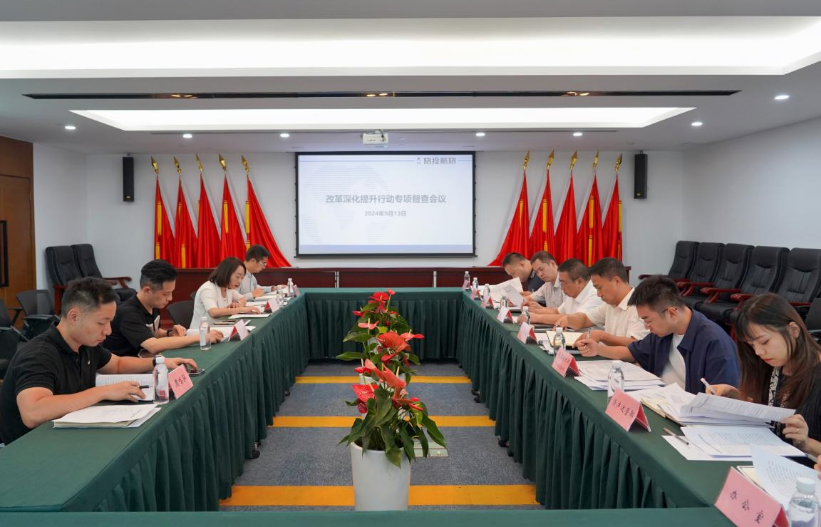 省壹定发集团率队督导壹定发航旅公司鼎新深入提升行动