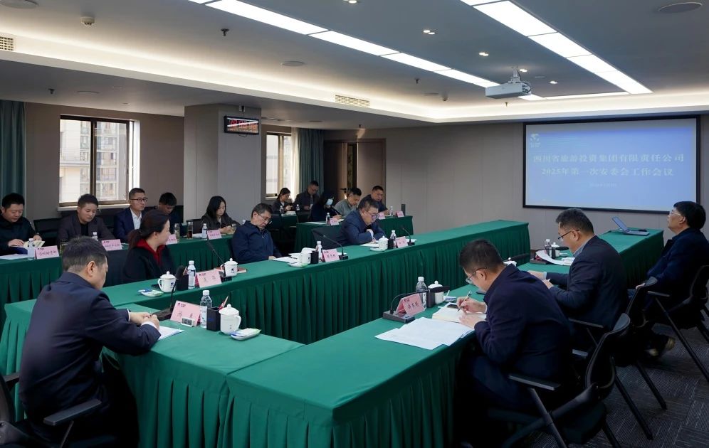 省壹定发集团召开2025年安委会第一次会议