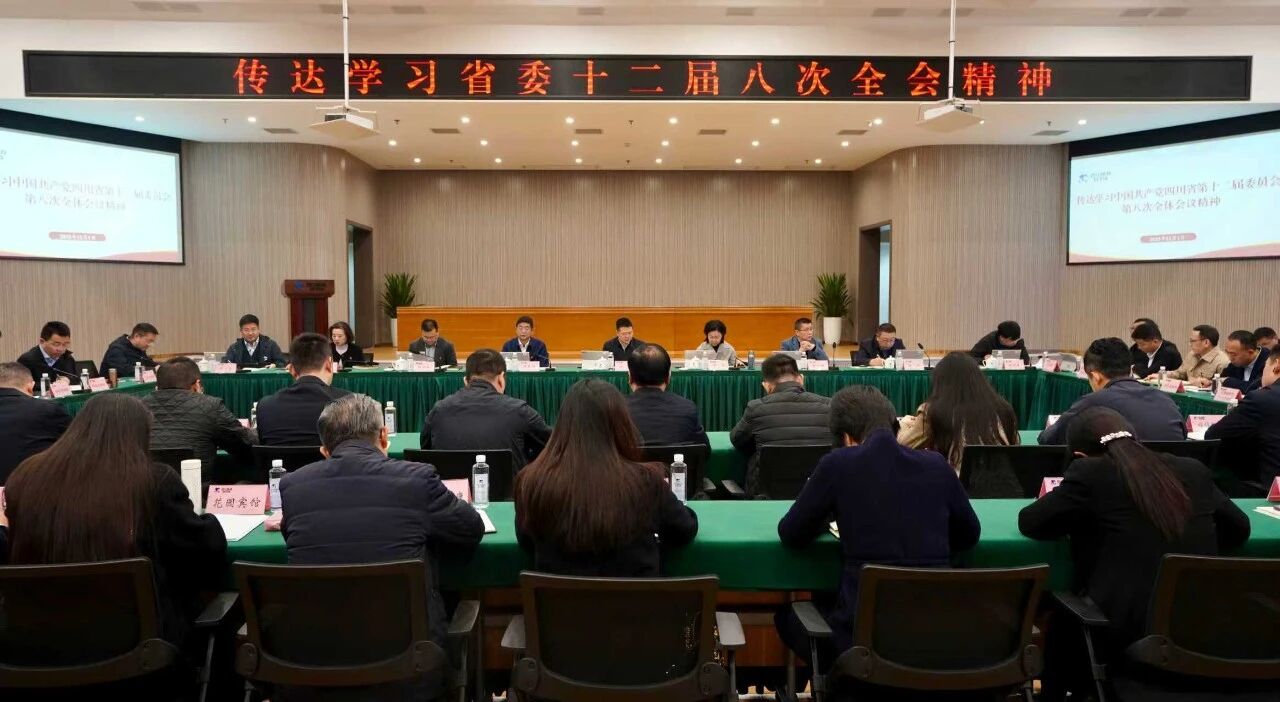 省壹定发集团党委通报进建贯彻省委十二届八次全会心灵