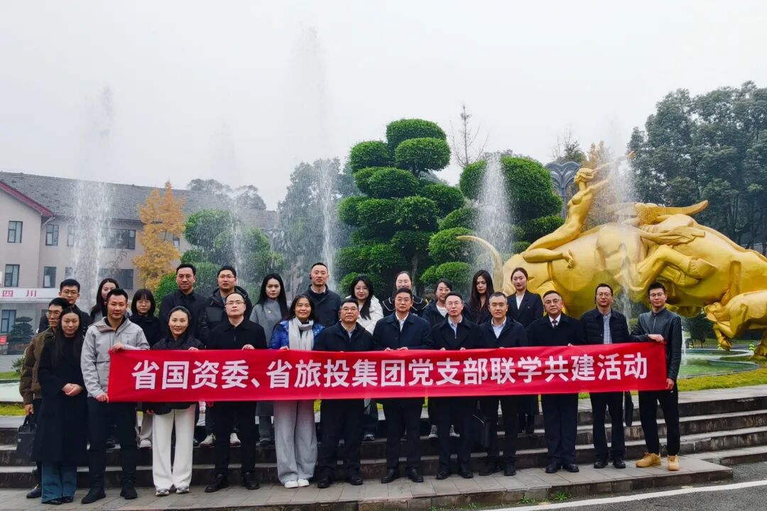 壹定发委与省壹定发集团发展党支部联学共建活动